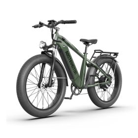New Pattern Electric Bike Fat Tire With Removable Lithium Battery for Adults (Motor: 1000W, Color: Dark Green)